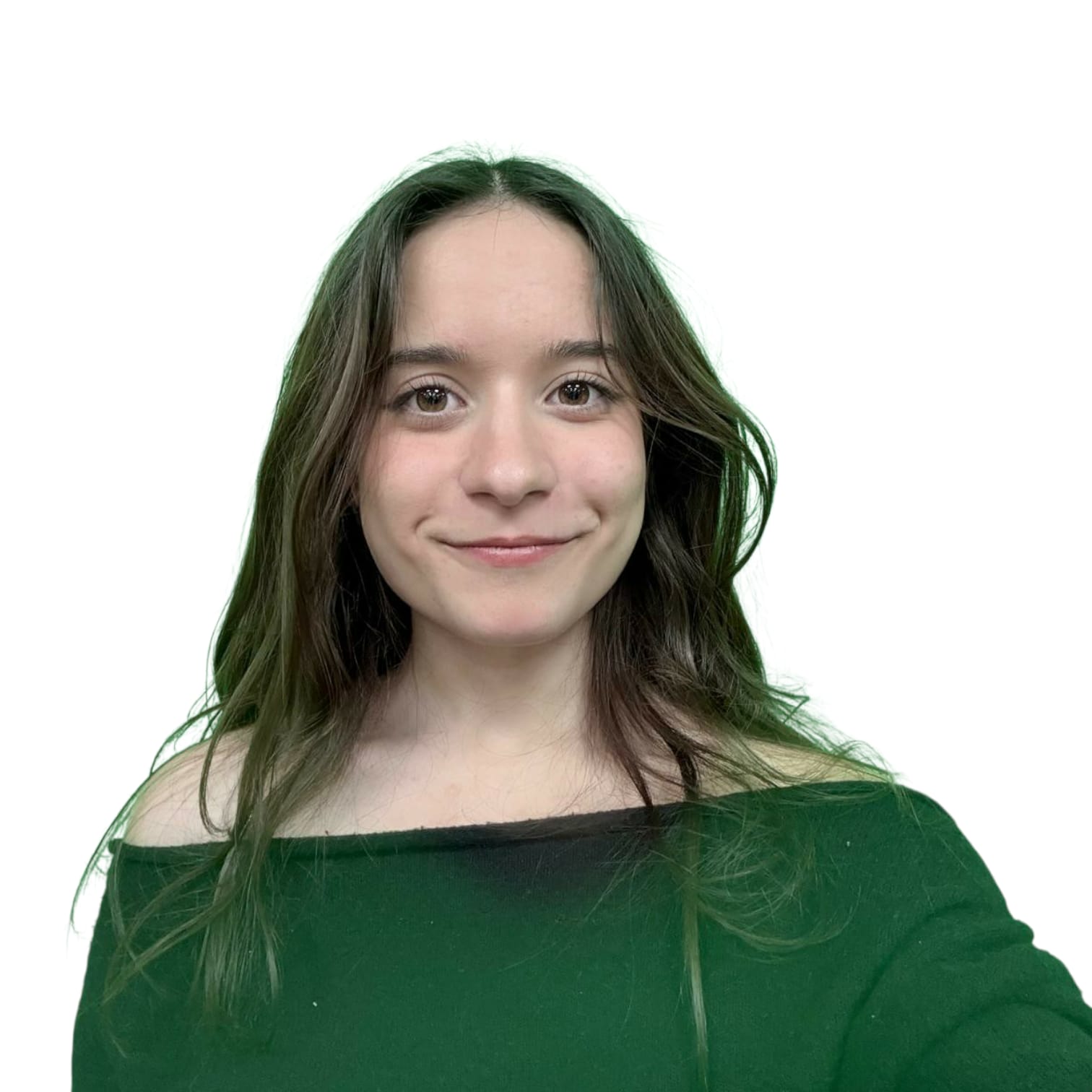 Web Design for Colibrí
